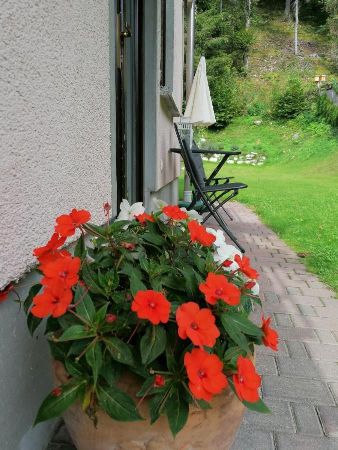 Apartments Mertelj Kranjska Gora Exterior foto